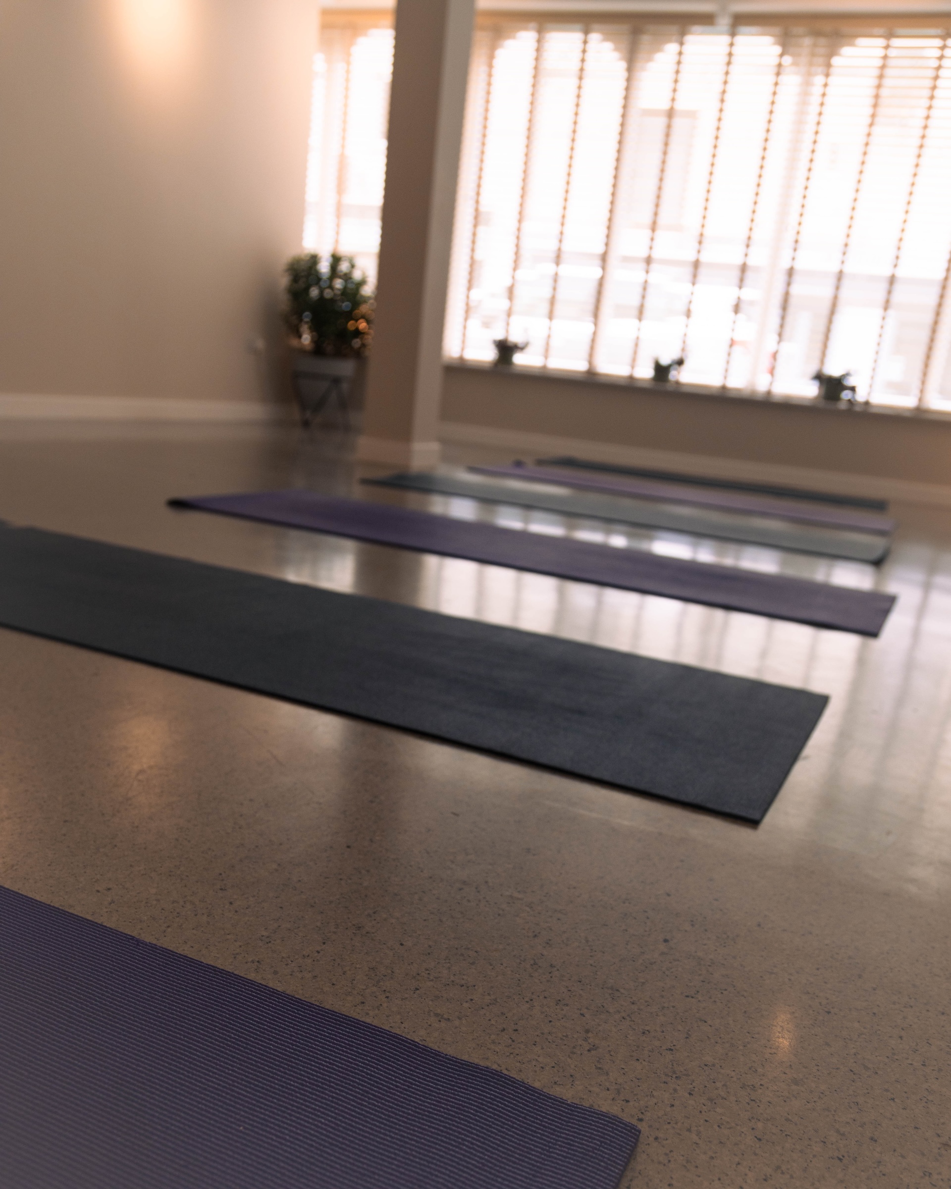 Mats Yoga mats arranged in a calm and peaceful wellness studio with soft natural light streaming through the windows.
